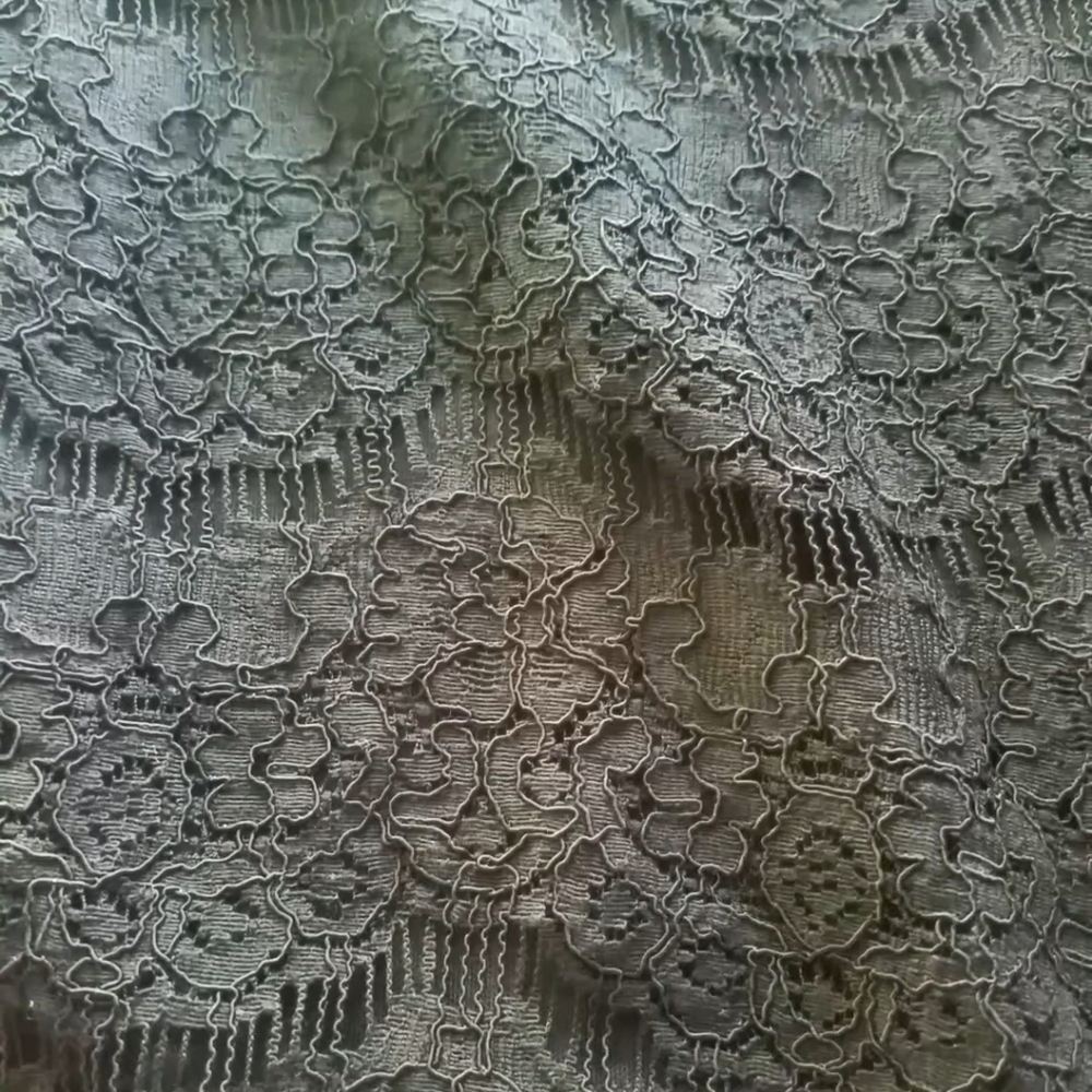 Bongo High Waisted Lace Front Zip Pencil Skirt - Picture 8 of 10